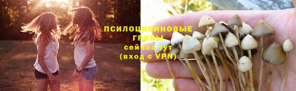 герыч Абинск