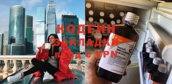 индика Абаза
