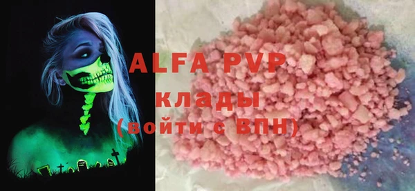 индика Абаза