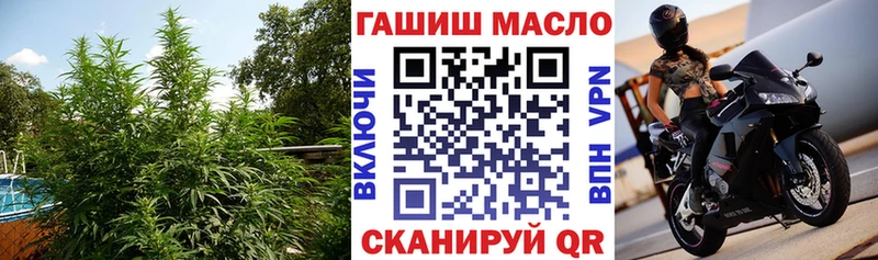 дарк нет официальный сайт  Кострома  ТГК жижа  кракен ONION 