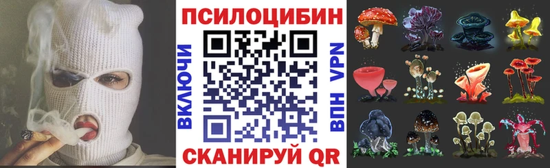 Галлюциногенные грибы прущие грибы гидра ТОР Кострома